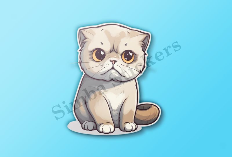 Scottish Fold cat