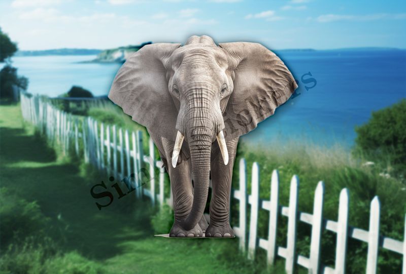 Elephant in the Savanna from the front 
