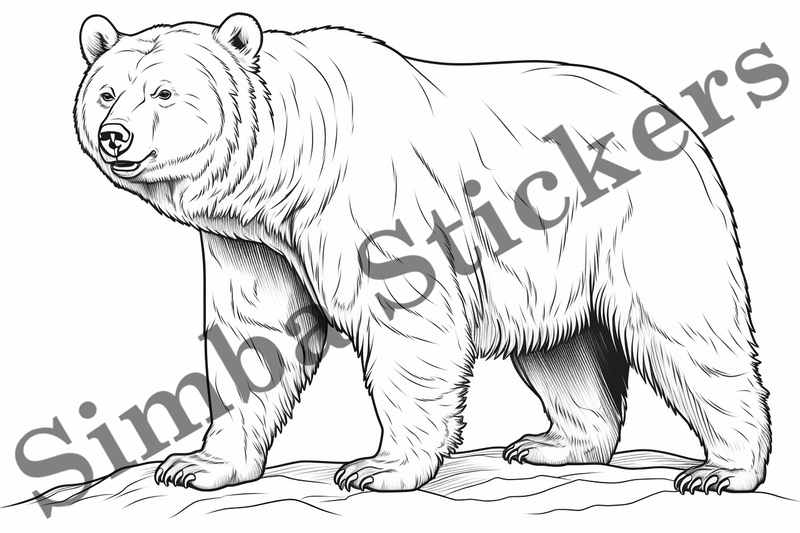 Colouring pages, Bundle of bears, 25 images