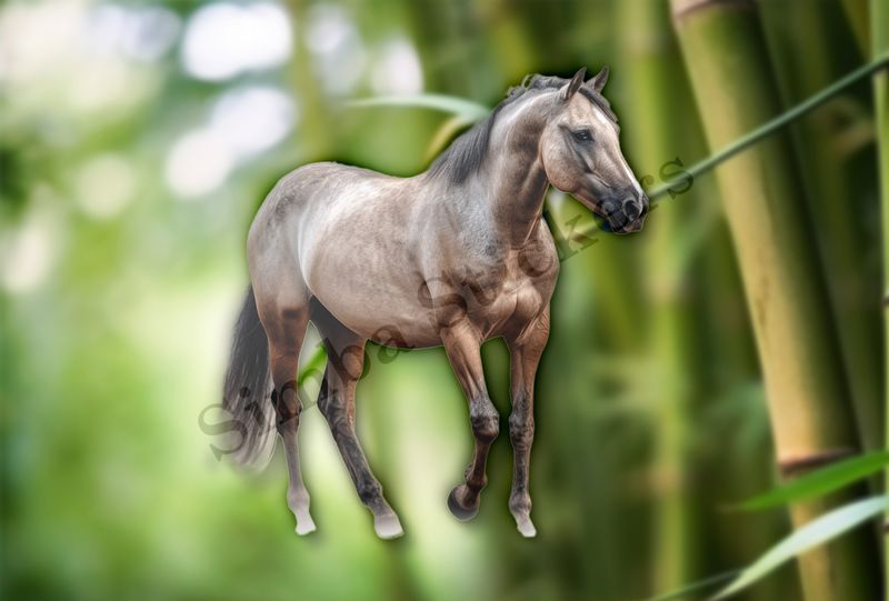 Brown horse , partial side view, tzqrfd