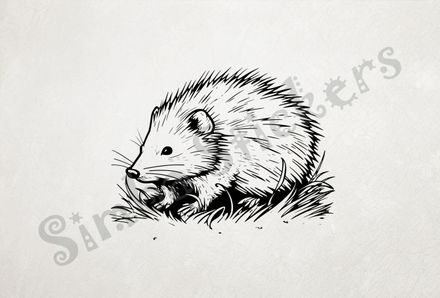 Porcupine in the grass, outline art