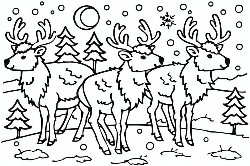 Colouring pages, bundle of elks, 25 images
