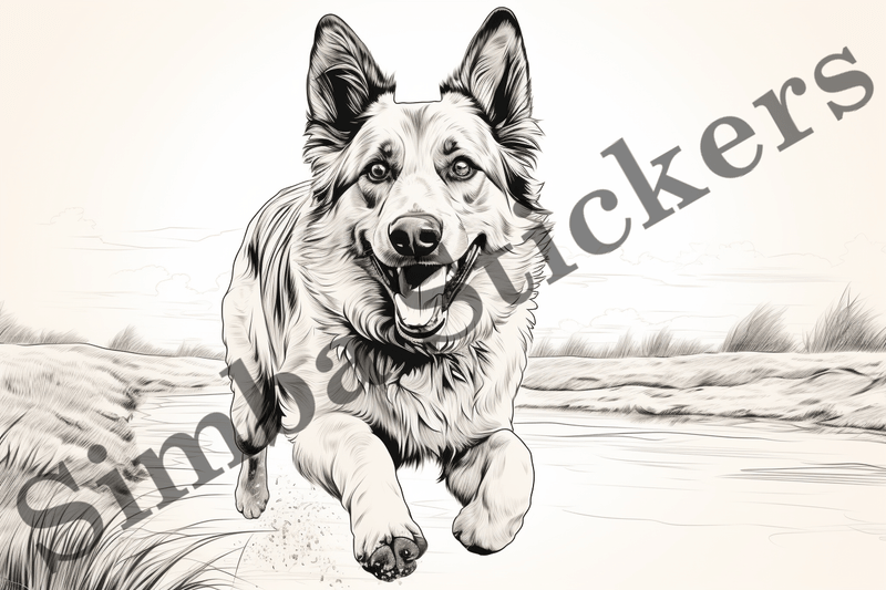 Colouring pages, Bundle of dogs, 10 images