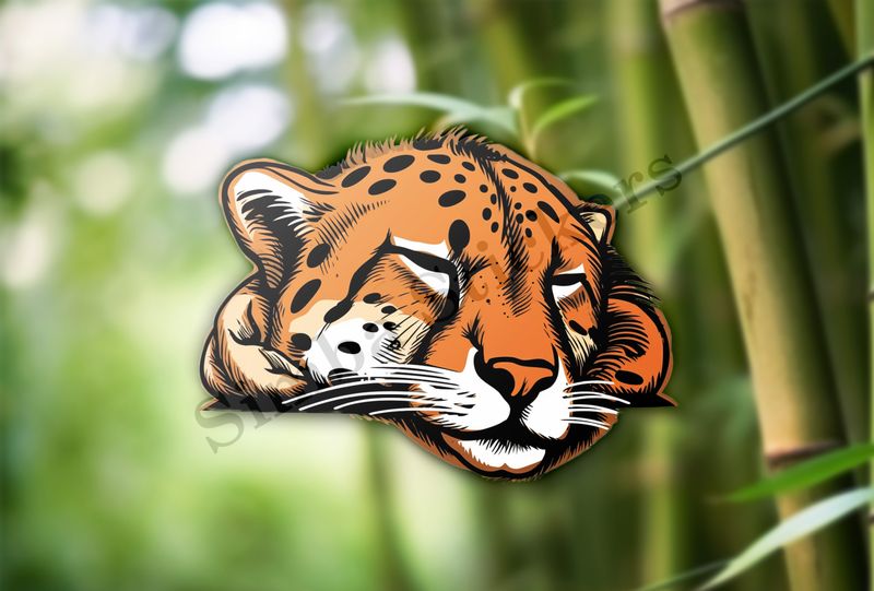 Cheetah sleeping, head, gv4jqr