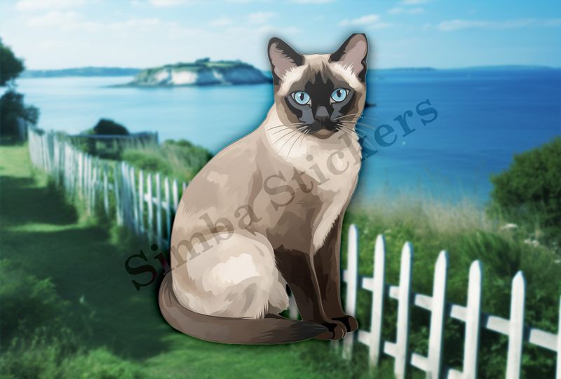 Siamese cat sitting