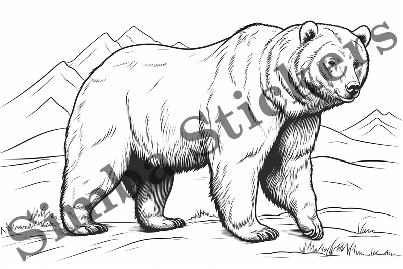 Colouring pages, Bundle of bears, 25 images