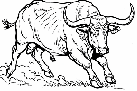 Colouring pages, bundle of cattle bulls, 10 images