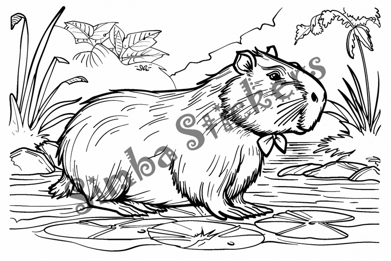 Colouring pages, bundle of capybaras, 25 images