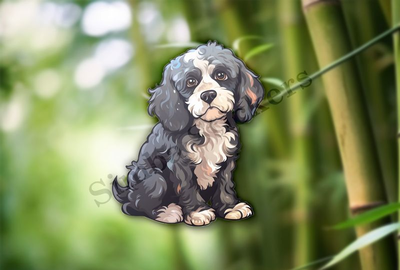 Black and white Cookapoo dog looking sad