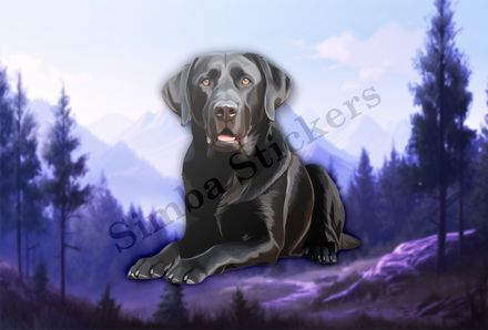 Black labrador dog sitting on all fours