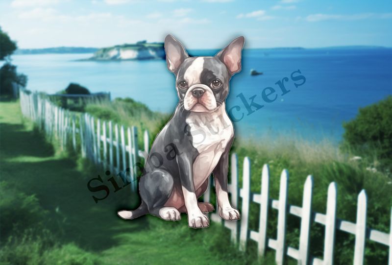 Boston Terrier dog sitting, watercolour