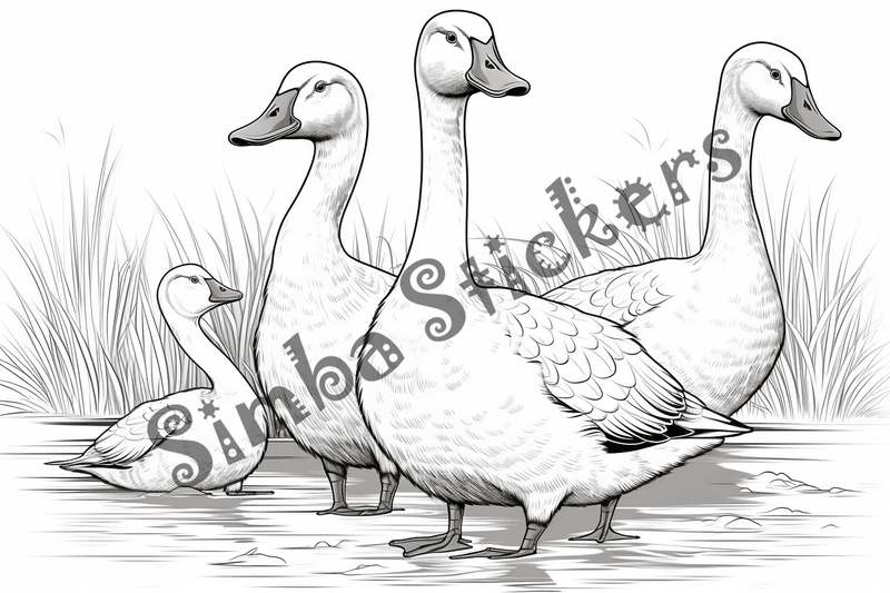 Colouring pages, bundle of geese, multiple, 10 images