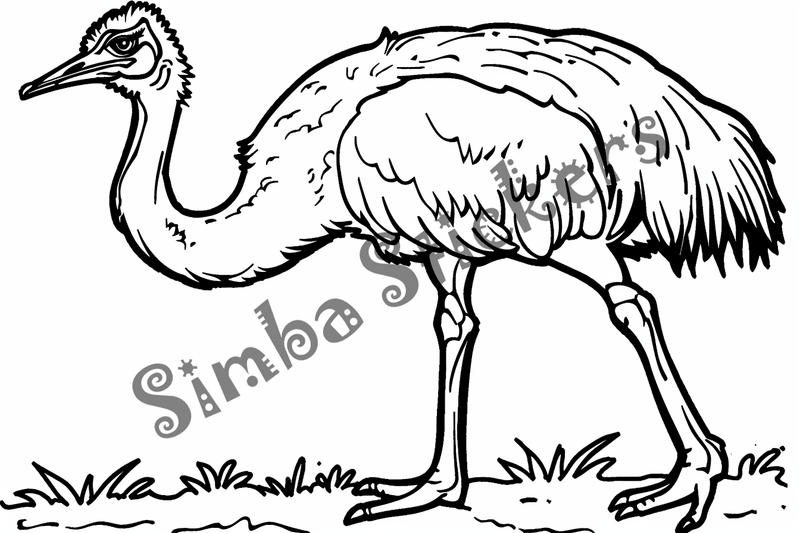 Colouring pages, bundle of ostriches, 50 images