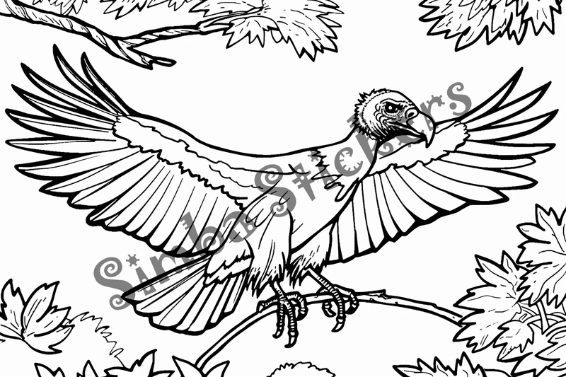 Colouring pages, bundle of vultures, 50 images, kqxcna