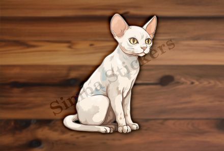 Devon Rex cat
