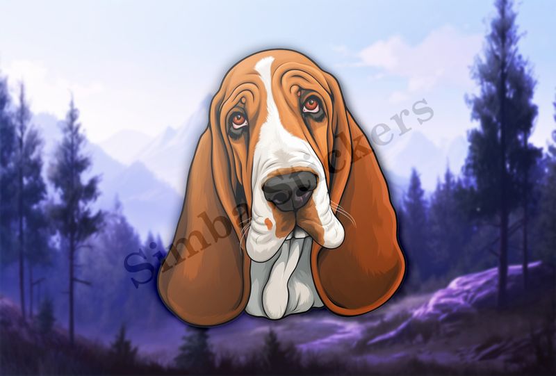 Basset Hound dog