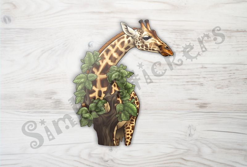 Giraffe behind tree with leaves in the Savanna