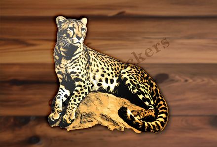 Cheetah resting on a rock