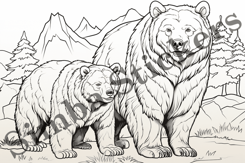 Colouring pages, Bundle of bears, 25 images