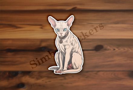 Sphynx cat sitting