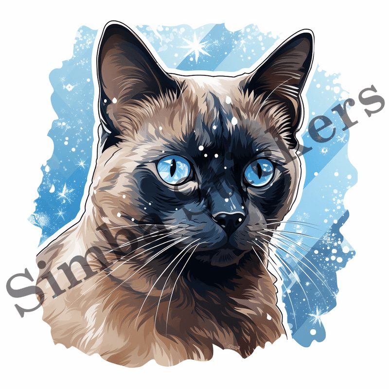Tonkinese cats in snow, image set, 10 images
