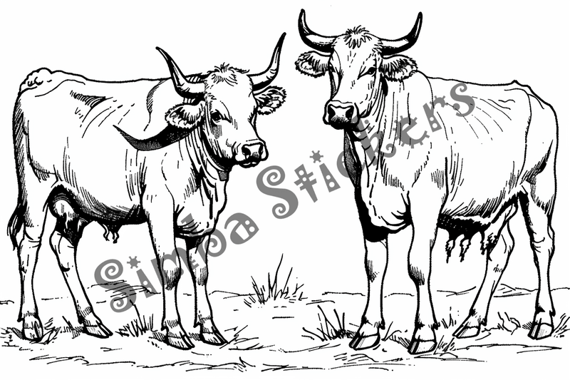 Colouring pages, bundle of cattle, 50 images