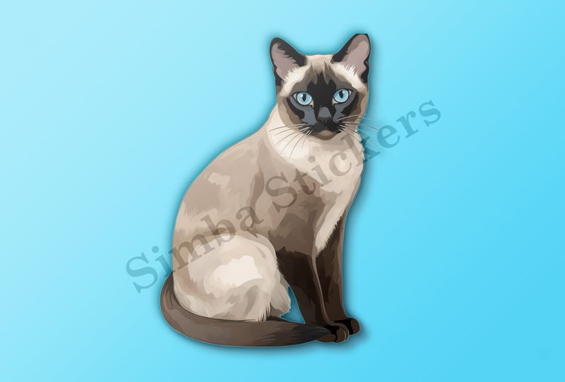 Siamese cat sitting