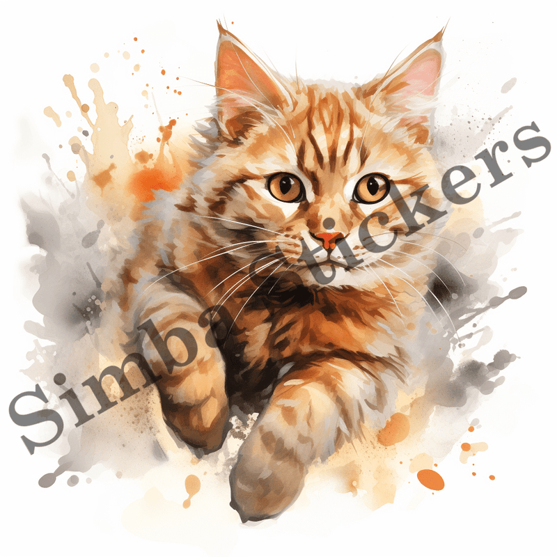 Cats running image set, 10 images