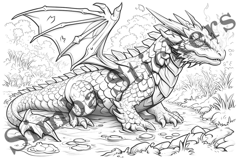 Colouring pages, bundle of dragons, 10 images