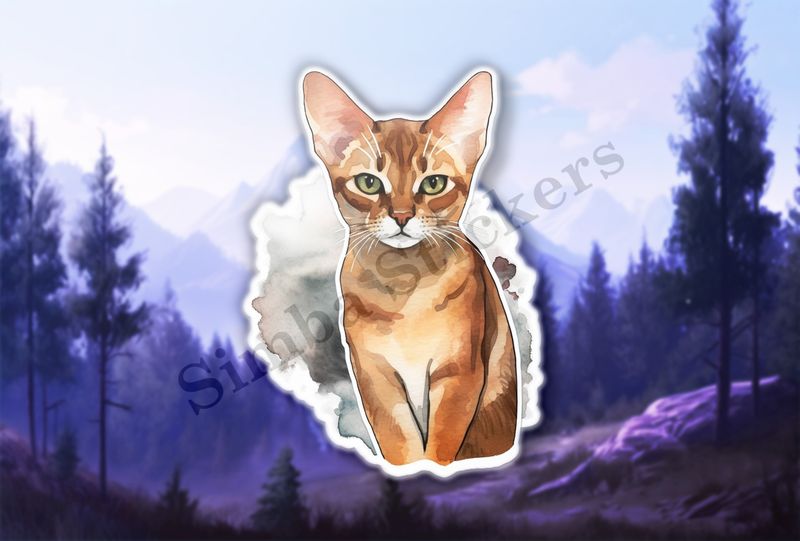 Abyssinian Cat, watercolour