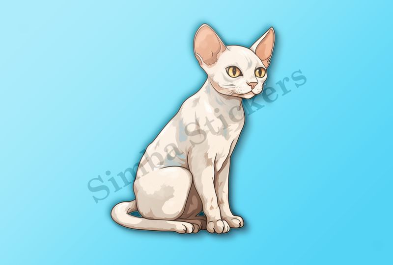Devon Rex cat