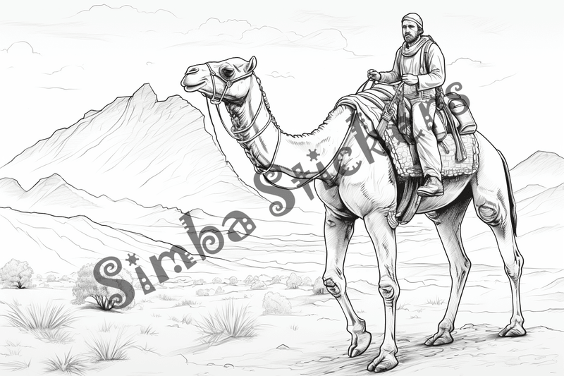 Colouring pages, bundle of camels, 25 images