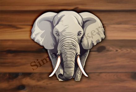 Elephant, front view