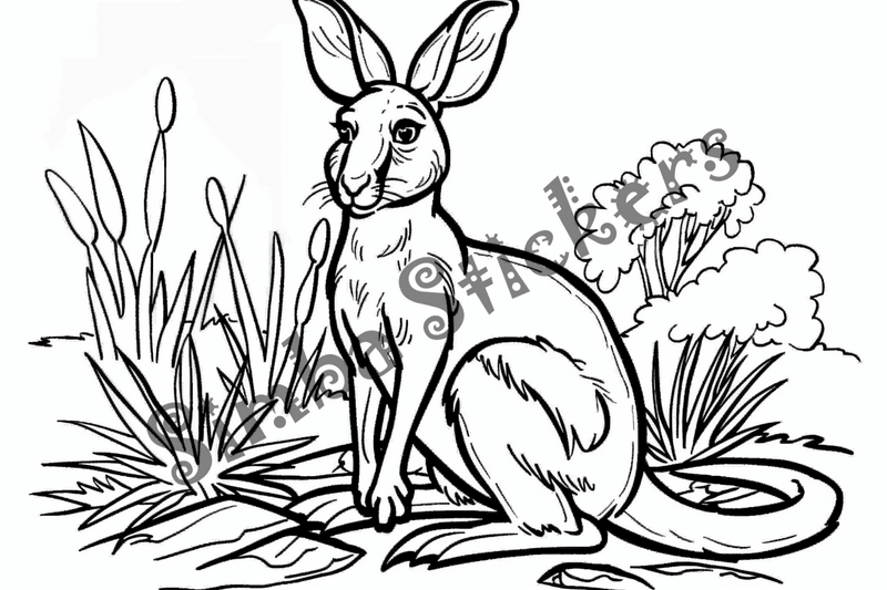 Colouring pages, Bundle of kangaroos standing, 10 images