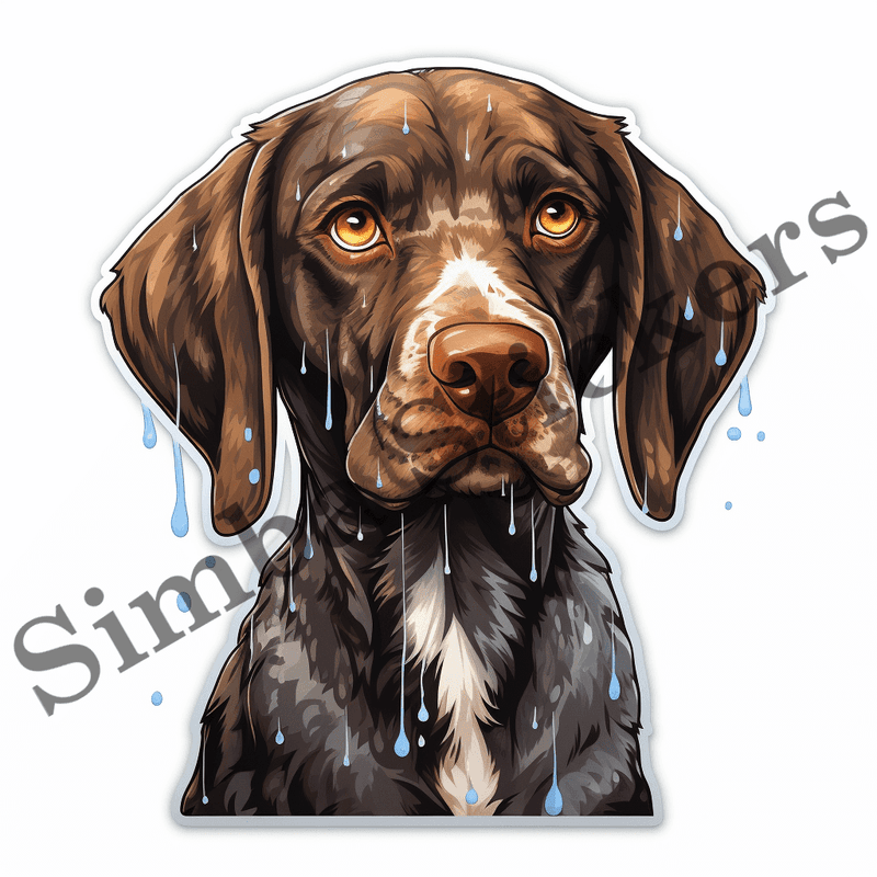 German Shorthaired Pointer dogs in the rain, image set, 10 images