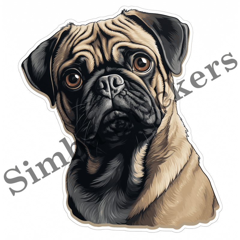 Pug dogs, image set, 10 images