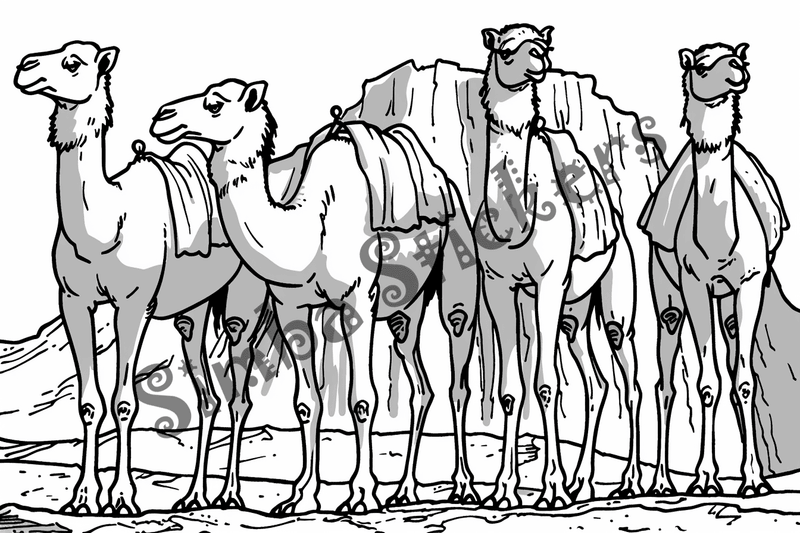 Colouring pages, bundle of Sahara Desert, 25 images