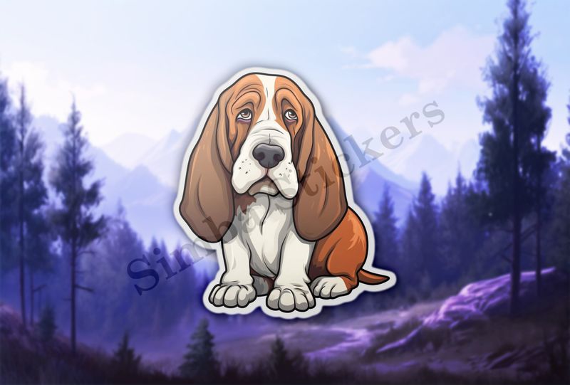 Basset Hound dog