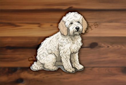 White Cookapoo dog