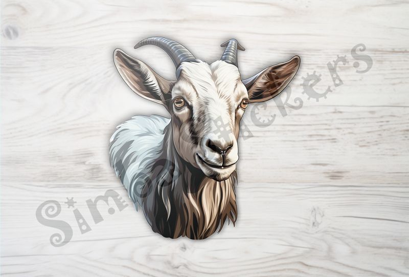White goat look straight ahead