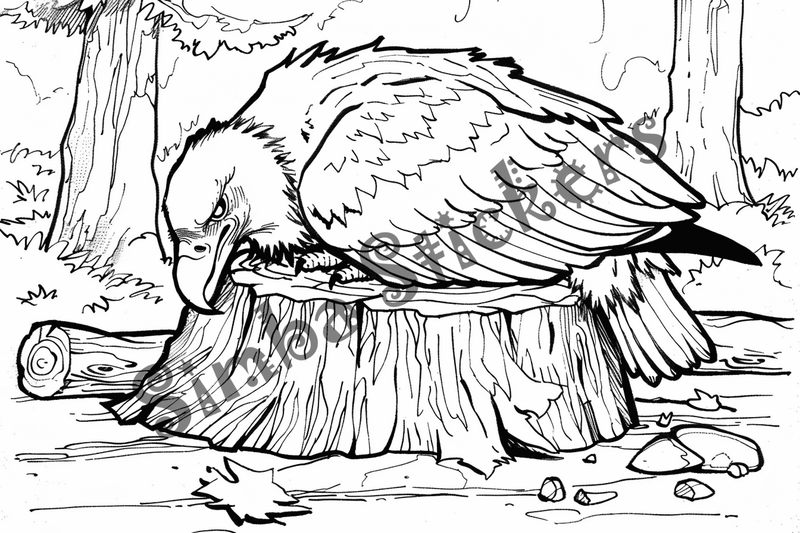 Colouring pages, bundle of vultures 2, 25 images, nffnc2