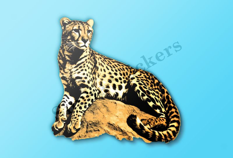 Cheetah resting on a rock