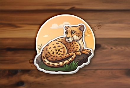 Young cheetah on a rock