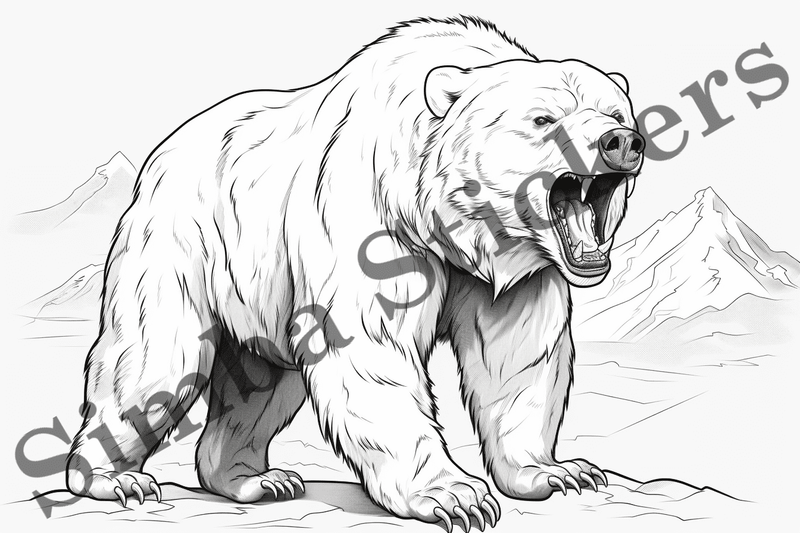 Colouring pages, Bundle of bears, 25 images