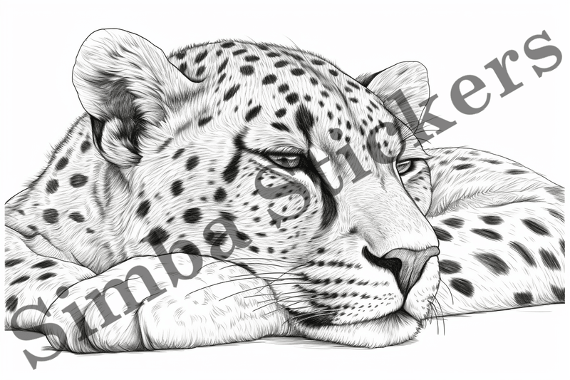 Colouring pages, Bundle of cheetahs, 25 images