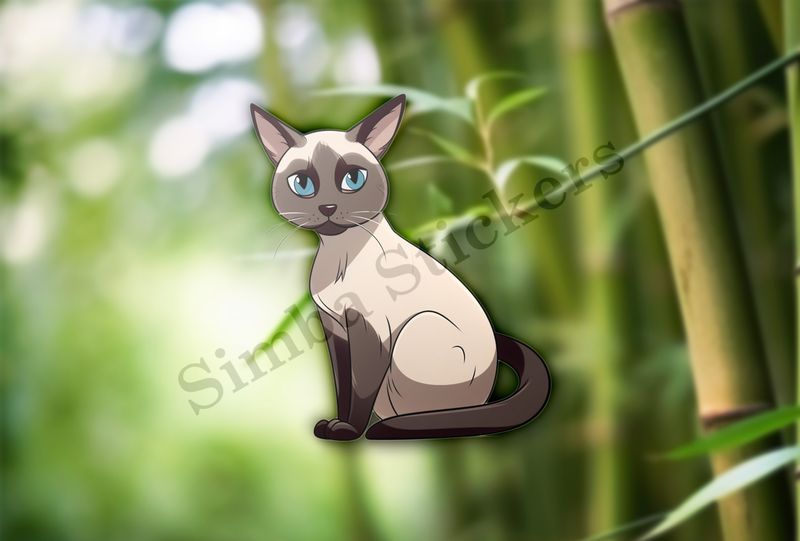 Siamese cat sitting