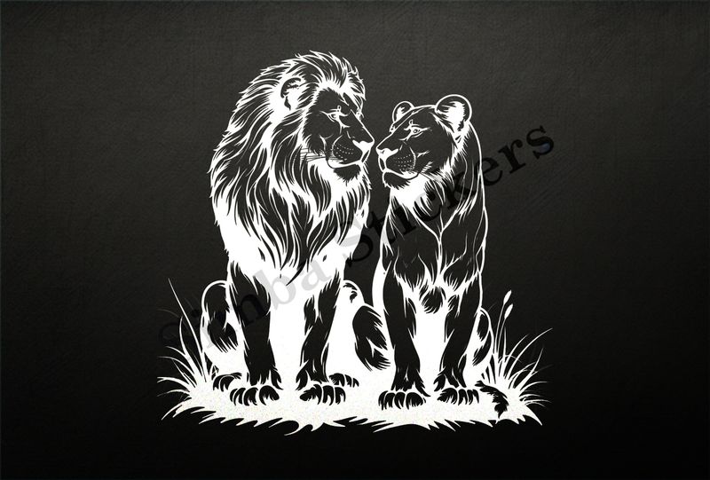 Majestic lion with lioness nose-to-nose ,  outline art