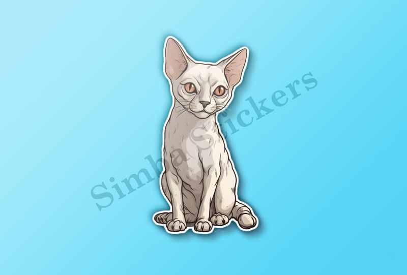 Devon Rex cat