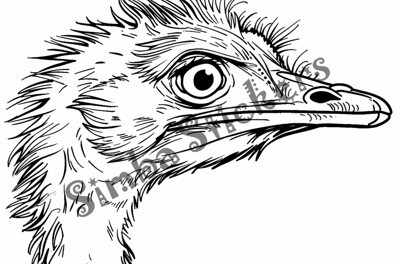 Colouring pages, bundle of ostriches, 50 images