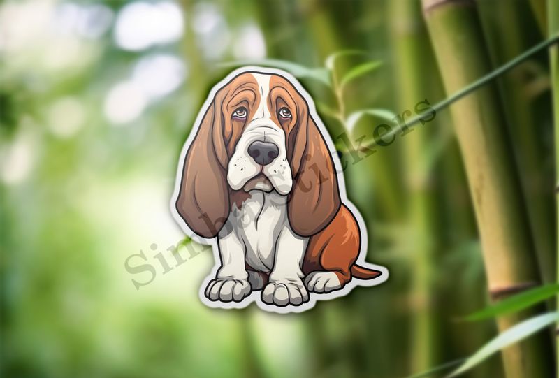 Basset Hound dog